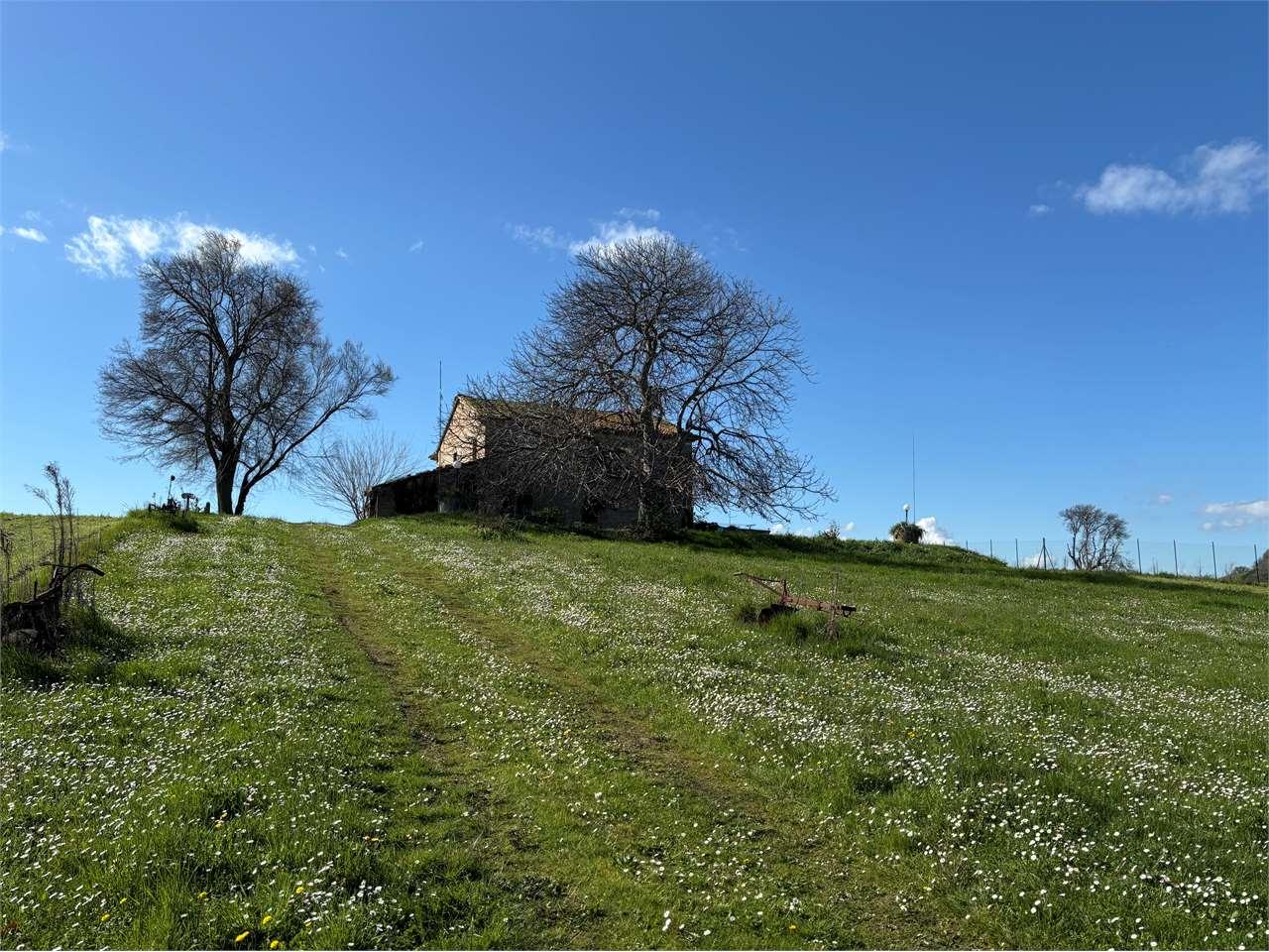 Vendita vendita, Vallefoglia foto