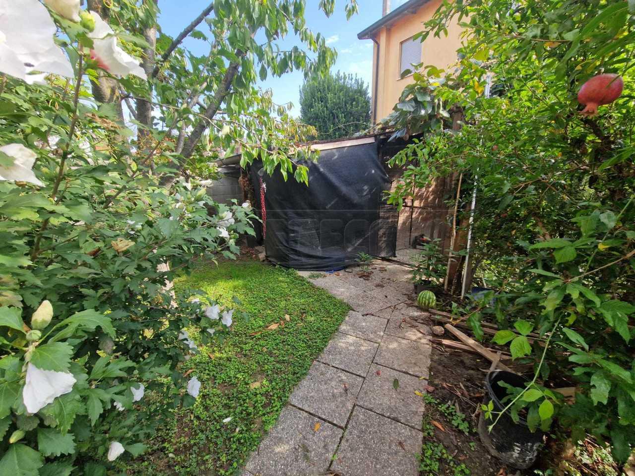 Vendita Pentavani, Pieve d'Olmi foto