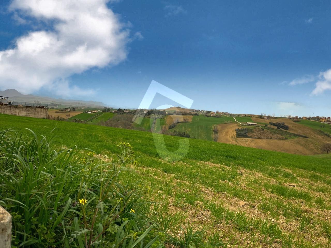 Vendita Trivani, Santa Maria Nuova foto