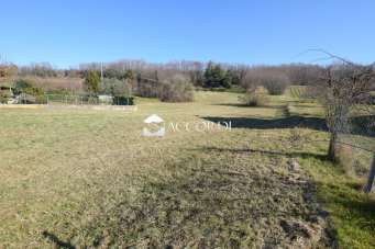 Vendita Case, Montebelluna