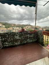 Vendita Quadrivani, Genova Vendita Quadrivani, Genova