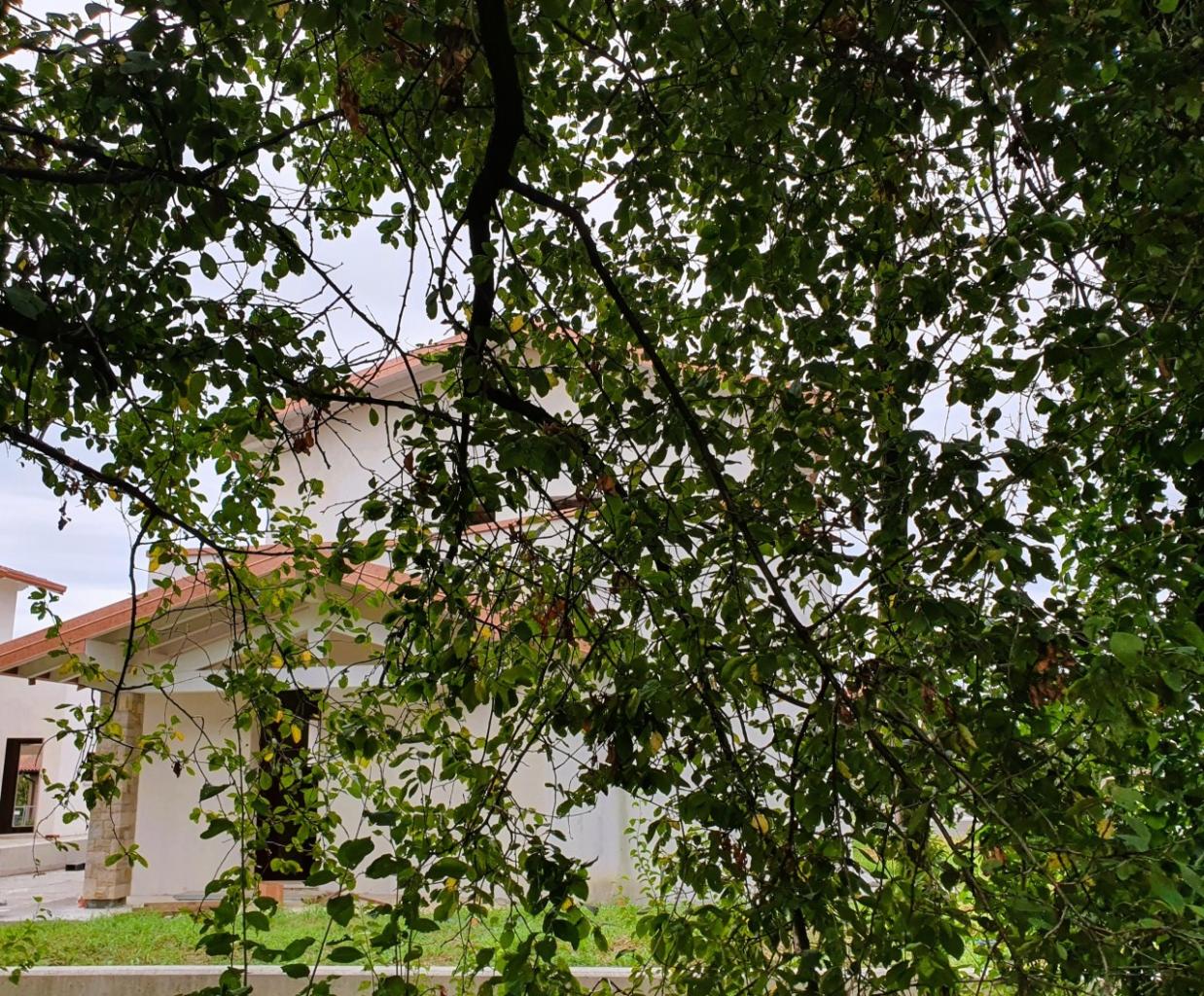 Vendita Pentavani, Poncarale foto