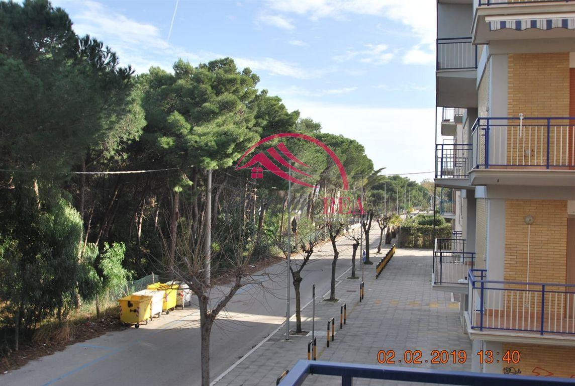 Vendita Appartamento, Campomarino foto