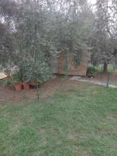 Vendita Eptavani, Carmignano Vendita Eptavani, Carmignano