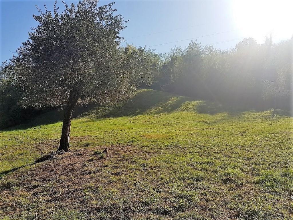 Vendita Monovano, Lucca foto