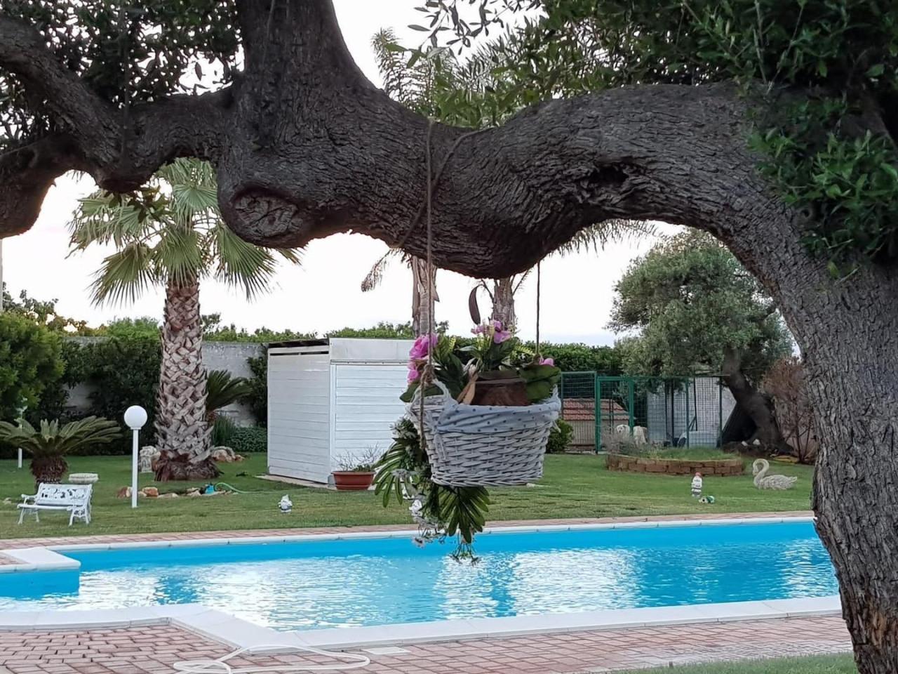 Vendita Quadrivani, Monopoli foto