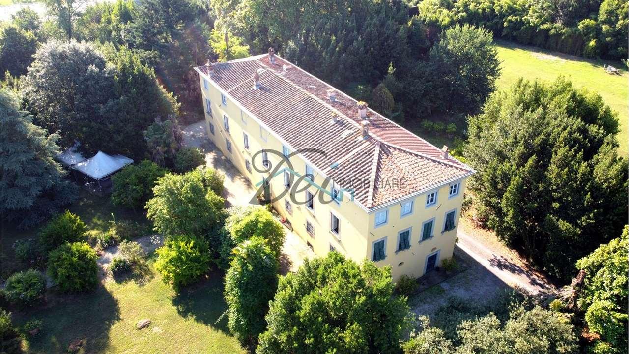 Vendita vendita, Lucca foto
