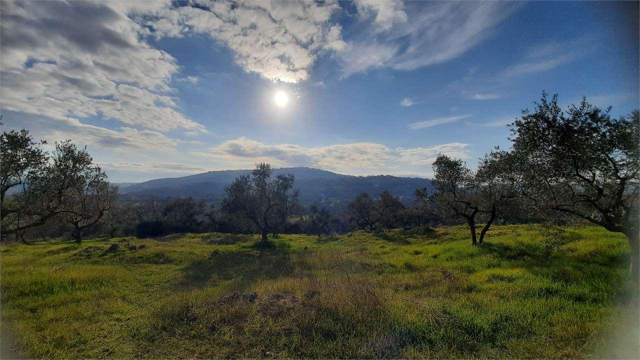 Affitto affitto, Monte San Giovanni Campano foto