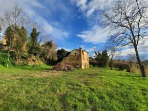 Vendita Quadrivani, Colli al Metauro Vendita Quadrivani, Colli al Metauro