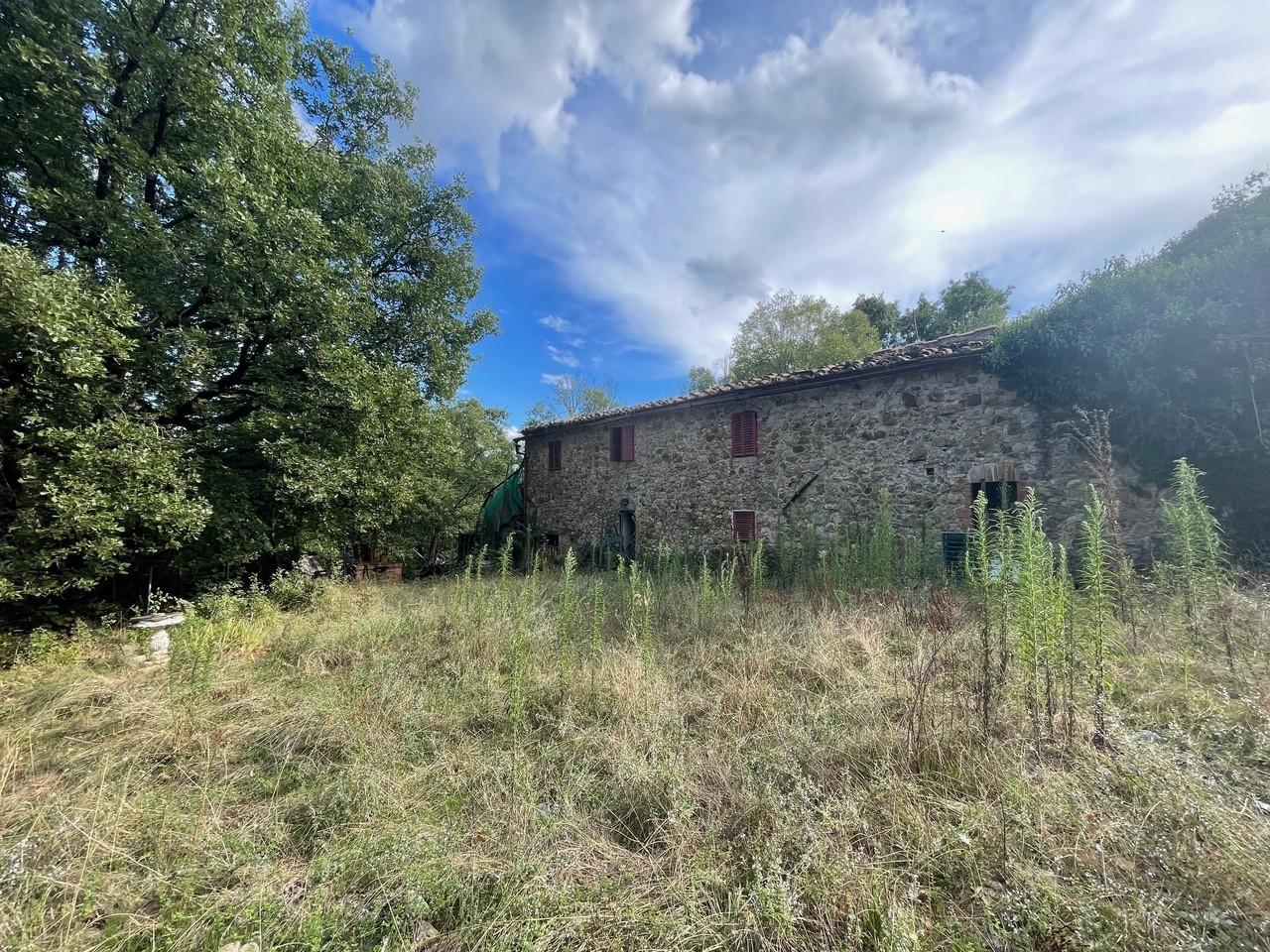 Vendita Multivani, Chiusdino foto
