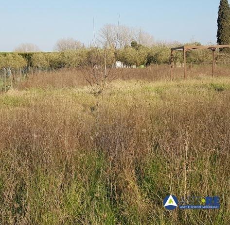 Vendita Loft, mansarde e attici, Pontedera foto