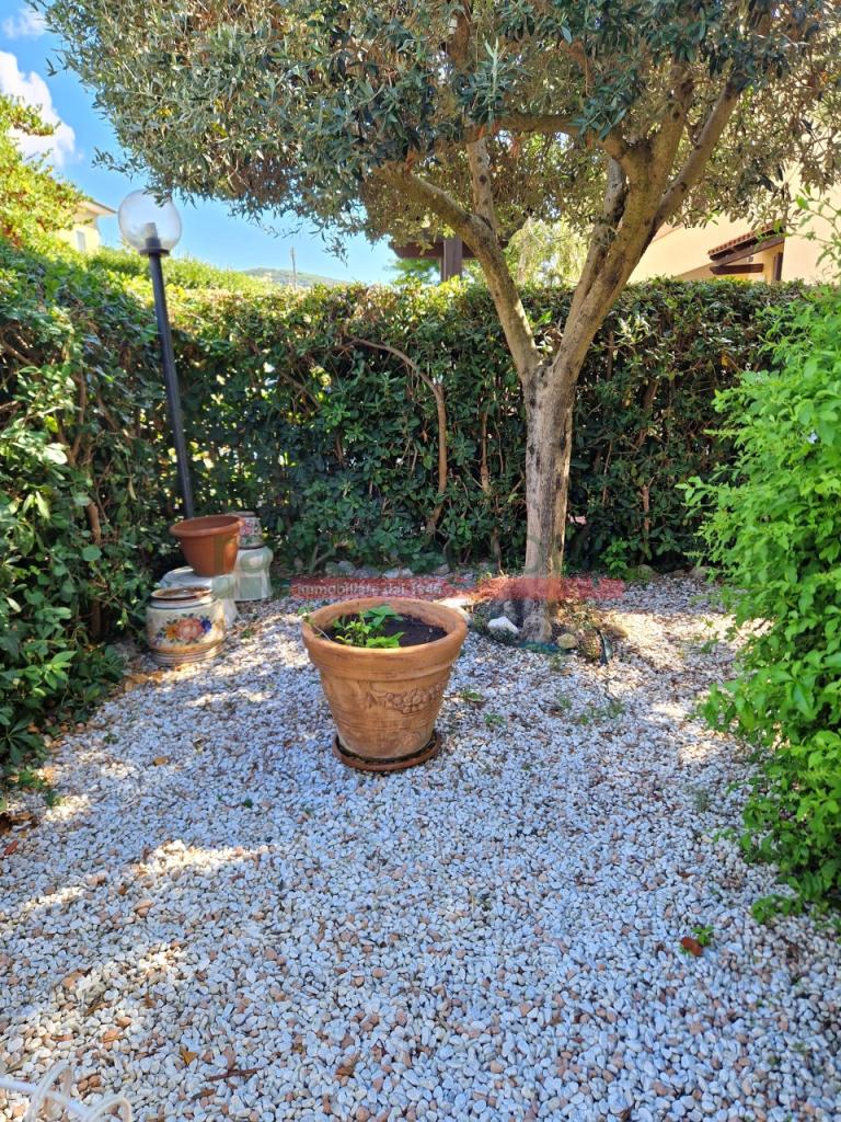 Vendita Multivani, Livorno foto