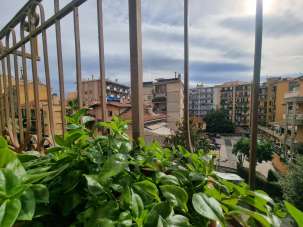 Vendita Pentavani, Ventimiglia Vendita Pentavani, Ventimiglia