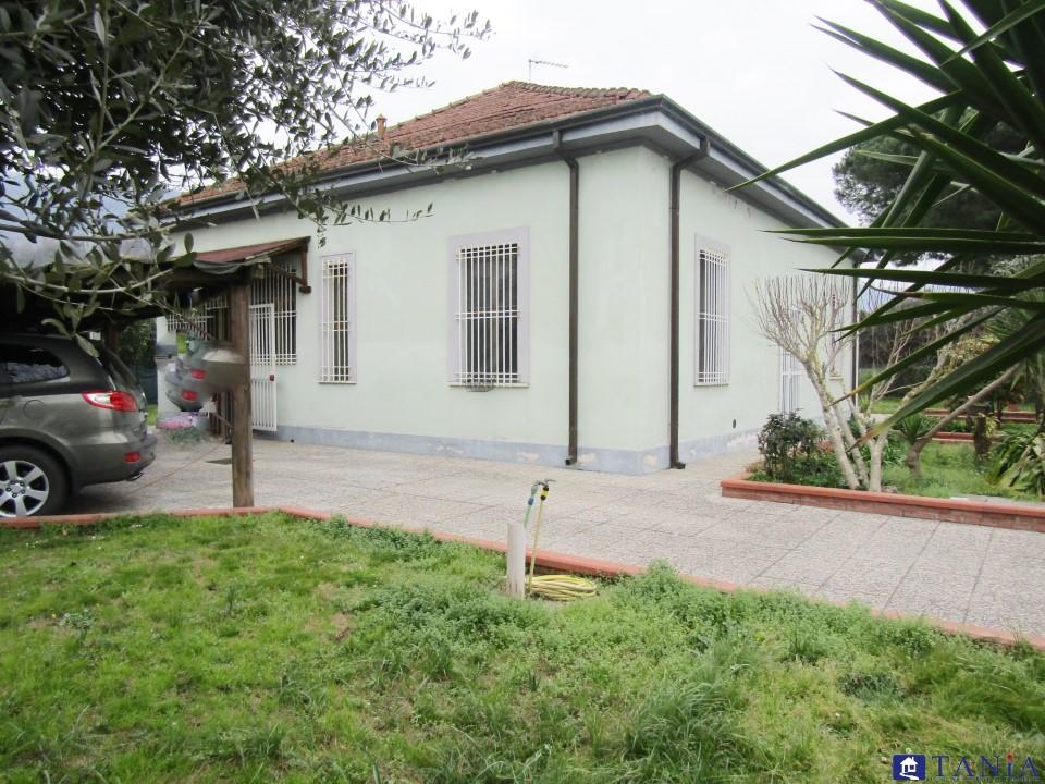 Vendita Multivani, Carrara foto