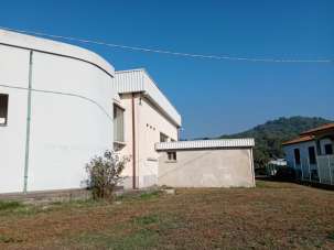 Vendita Ville, Campiglia Marittima