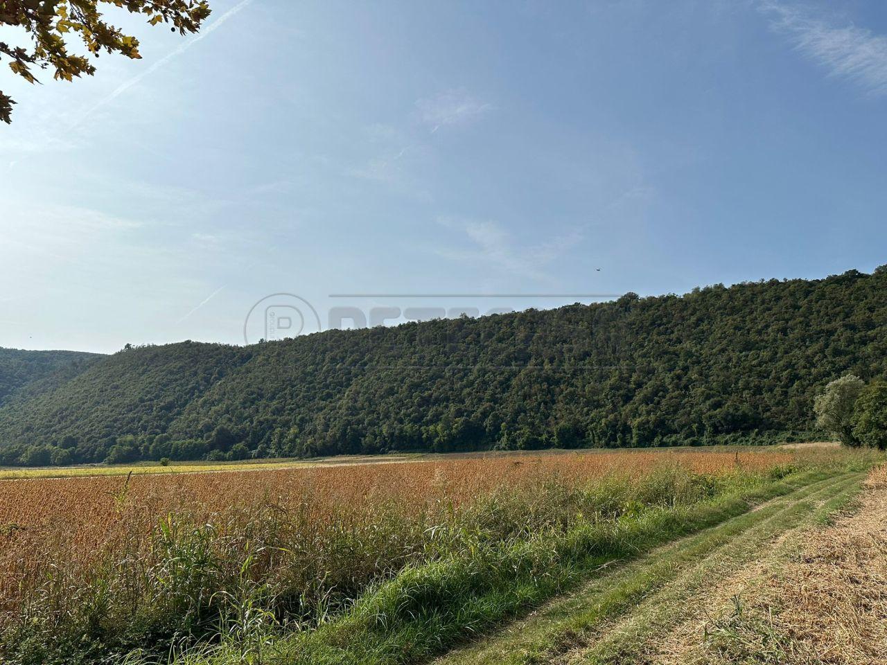 Vendita Terreni, Arcugnano foto