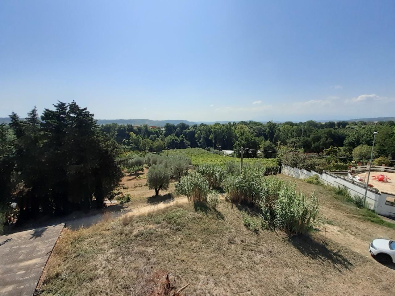 Vendita Multivani, Francavilla al Mare foto