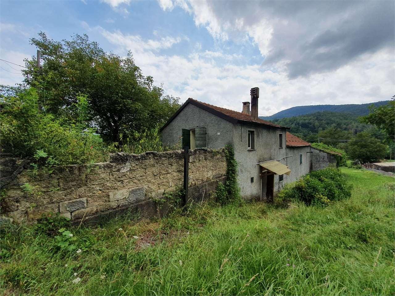 Vendita vendita, Bardineto foto