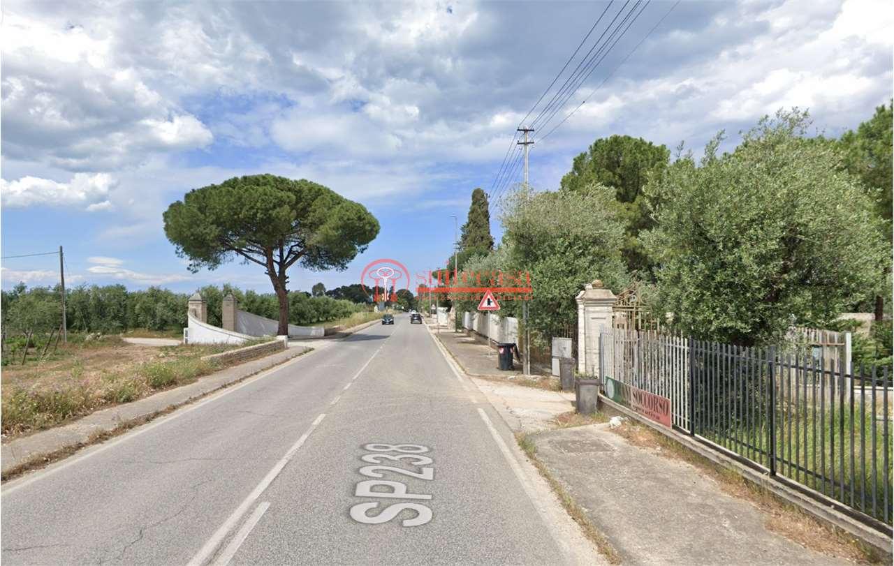 Vendita vendita, Trani foto