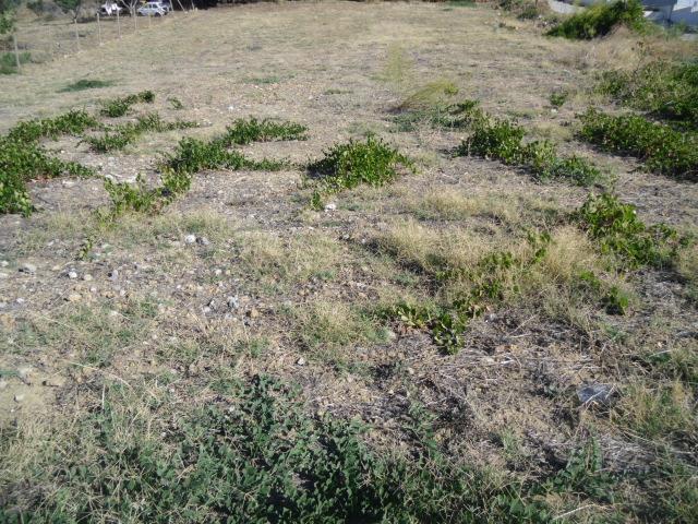 Vendita Terreno, Agrigento foto