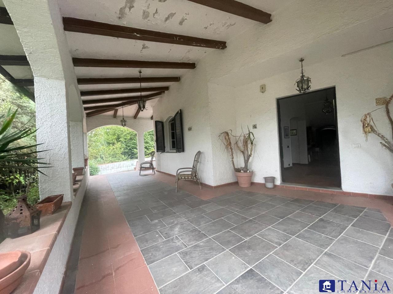 Vendita Multivani, Carrara foto