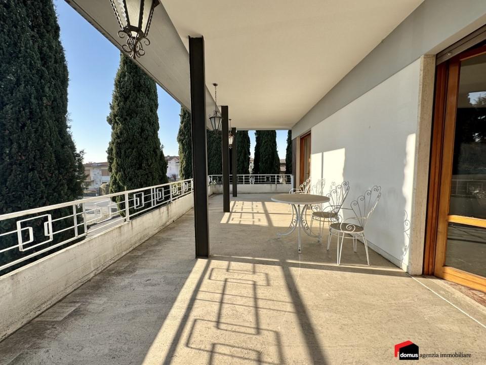 Vendita Multivani, Zane foto