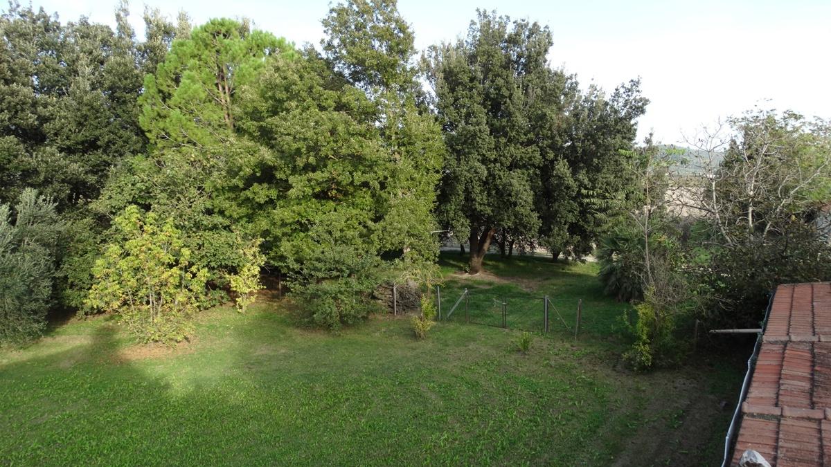 Vendita Terreno, Grosseto foto