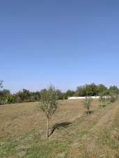 Affitto Altri immobili, Pomigliano d'Arco