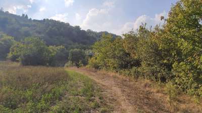 Vendita Rustico, Ripatransone Vendita Rustico, Ripatransone