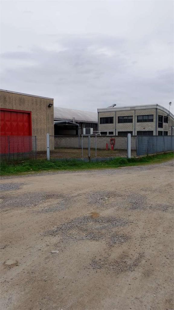 Vendita vendita, Lomazzo foto