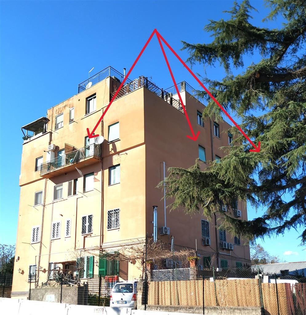 Vendita Appartamento, Roma foto