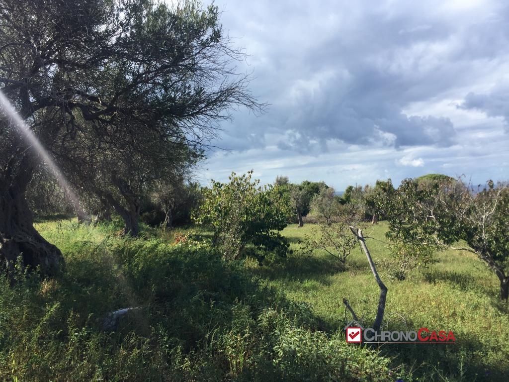 Vendita Loft, mansarde e attici, Messina foto