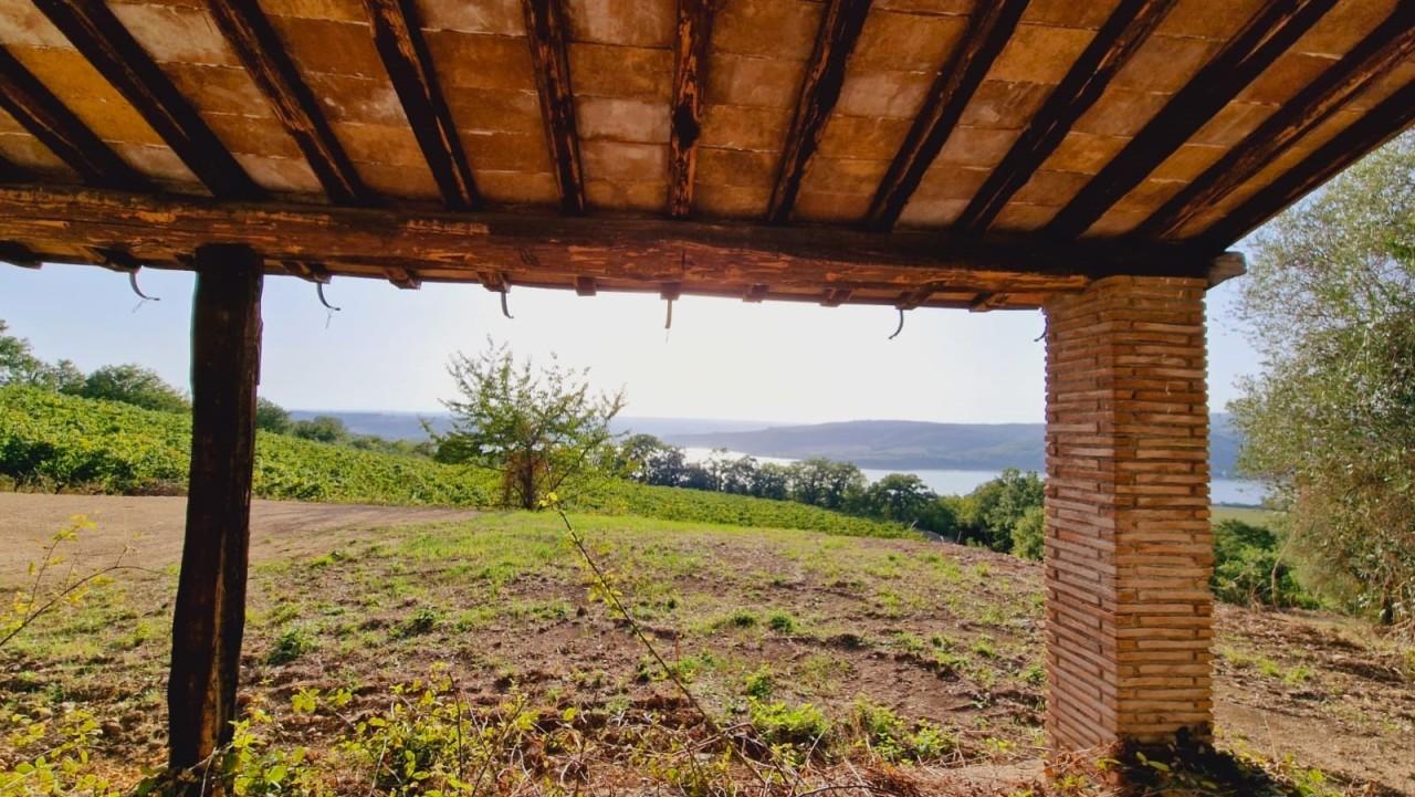 Vendita Pentavani, Baschi foto