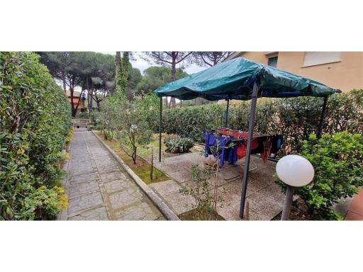 Vendita TERRATETTO, Rosignano Marittimo foto