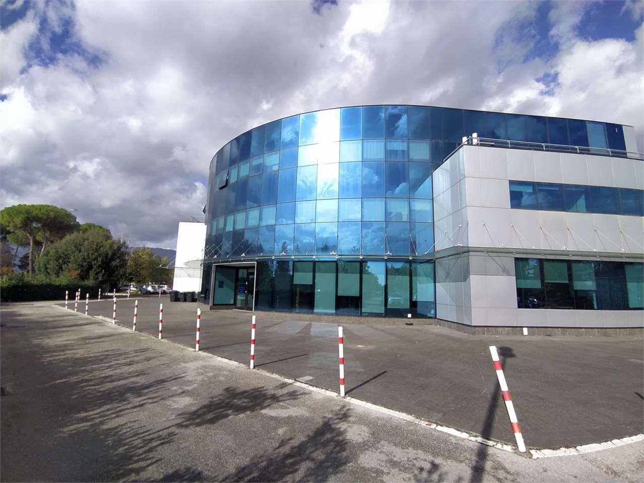 Vendita vendita, Frosinone foto