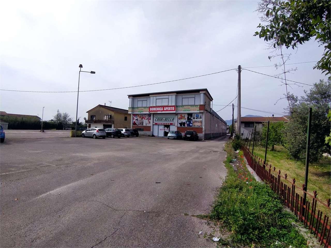 Affitto affitto, Ferentino foto