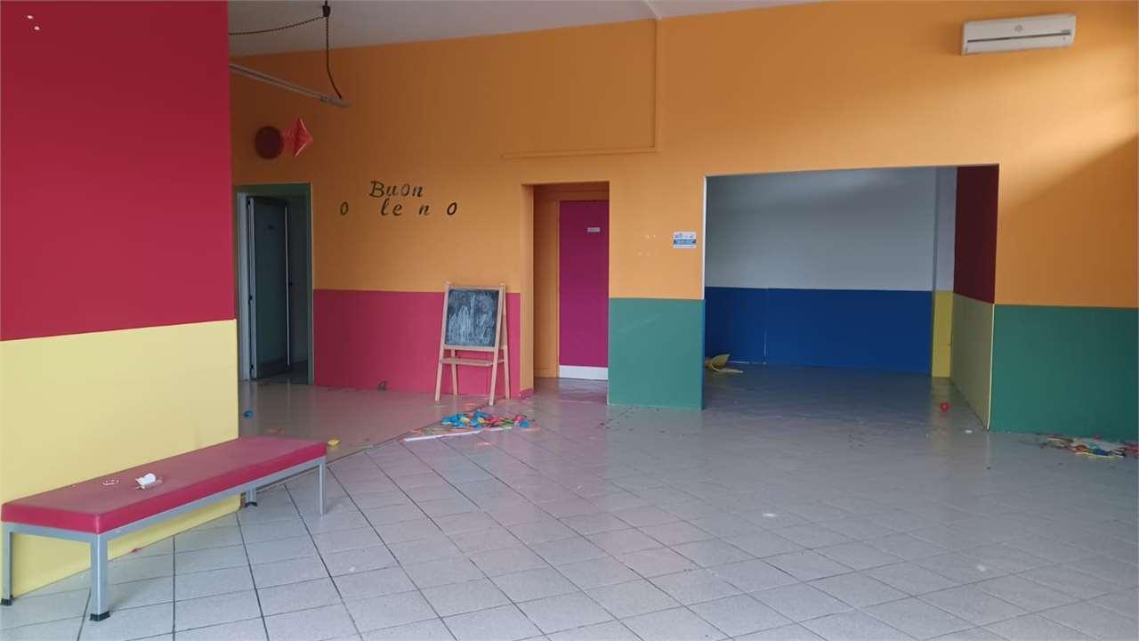Affitto affitto, Frosinone foto