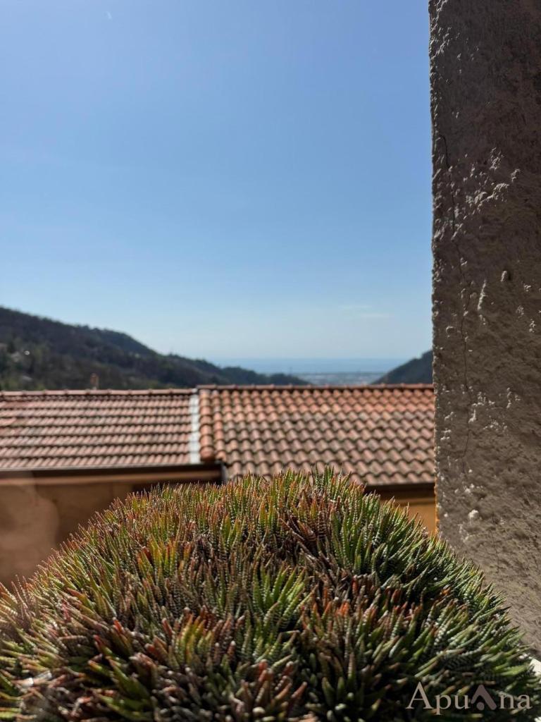 Vendita Casa indipendente, Massa foto