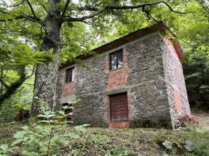 Vendita Quadrivani, Bagnone Vendita Quadrivani, Bagnone