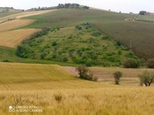 Vendita Terreni, Castel Frentano Vendita Terreni, Castel Frentano