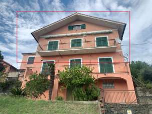 Vendita Pentavani, Stella Vendita Pentavani, Stella