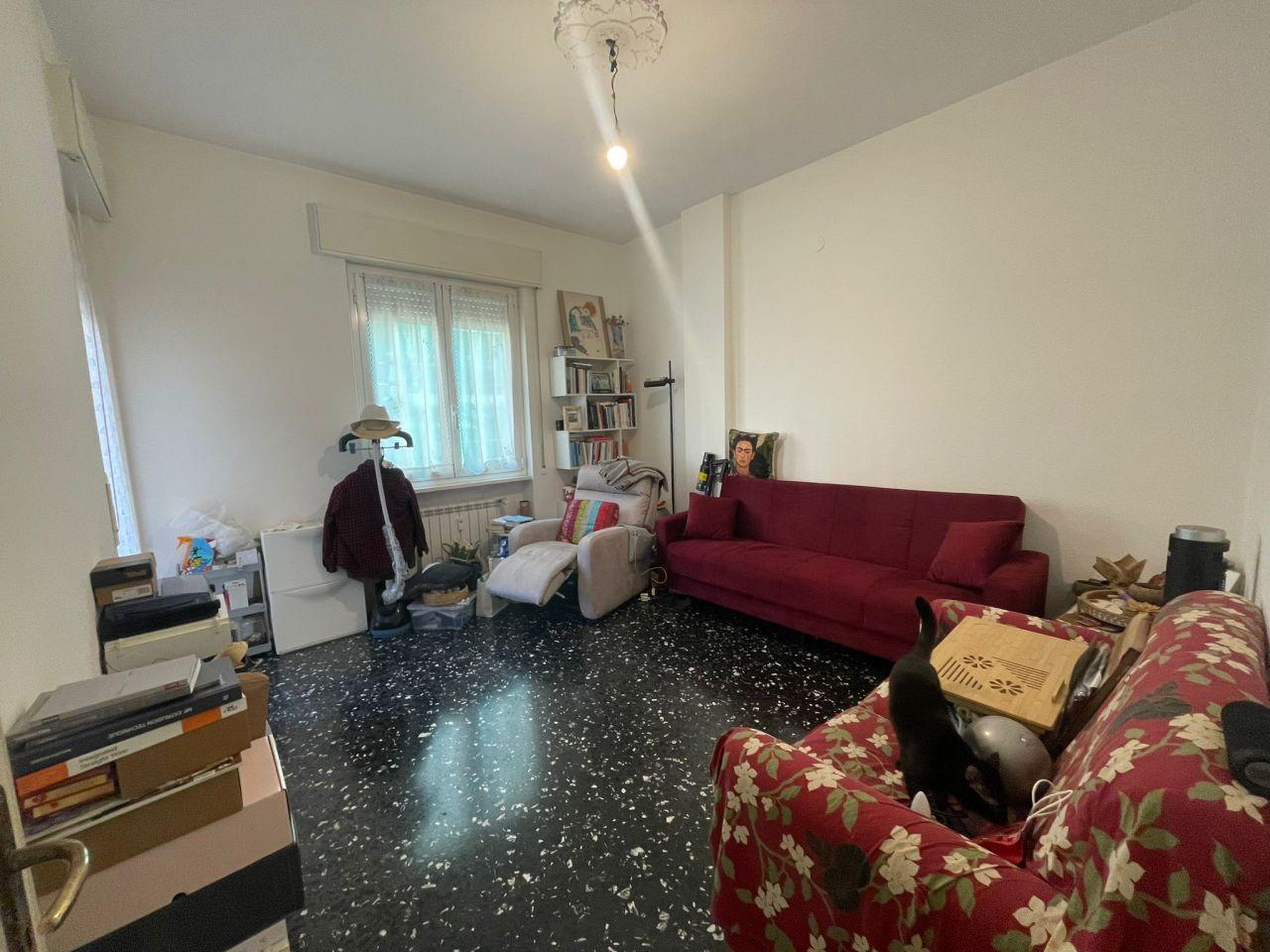 Vendita Quadrivani, Savona foto