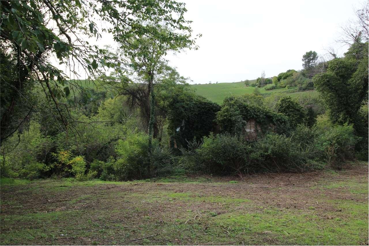 Vendita vendita, Vallefoglia foto