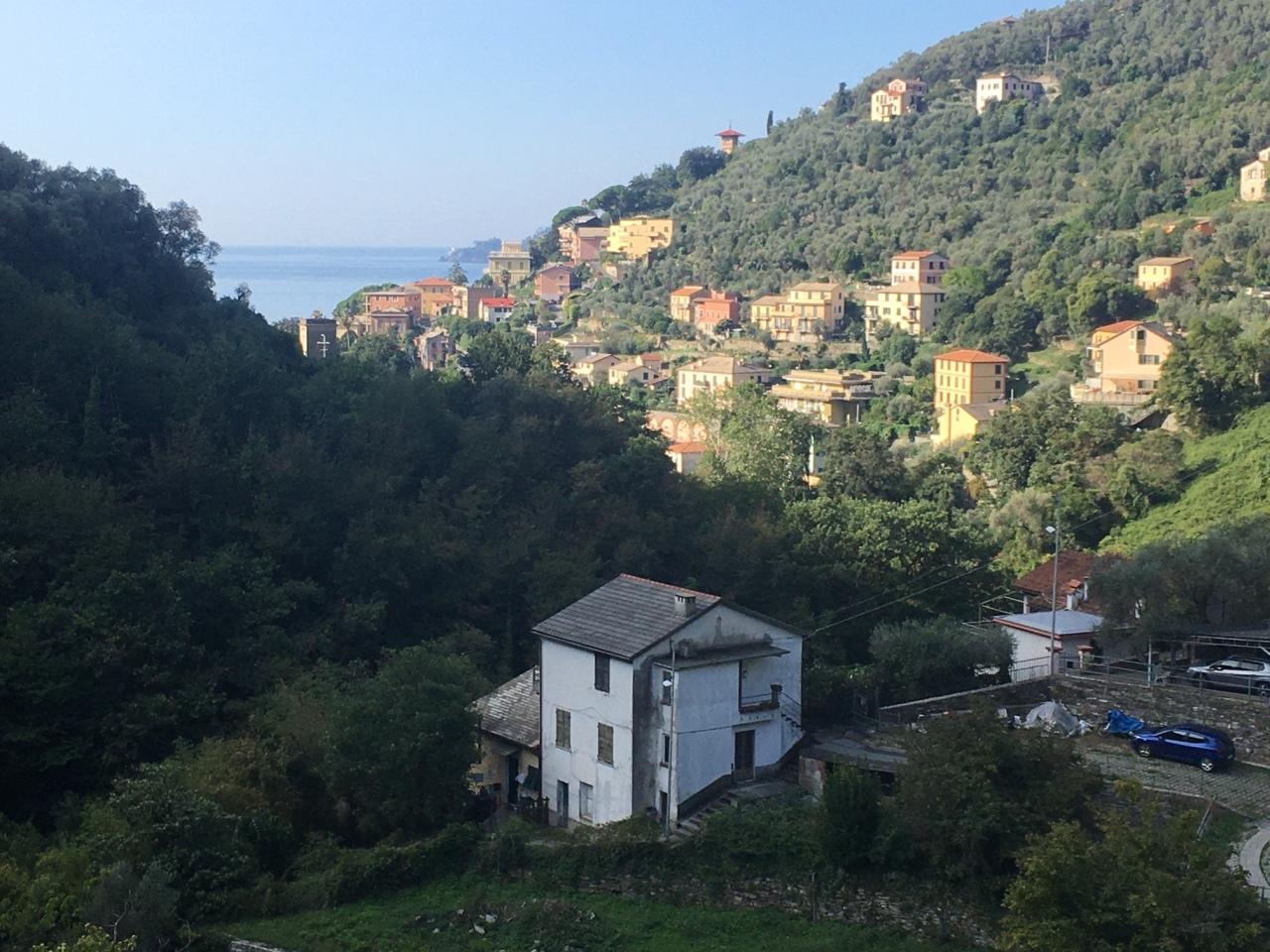 Vendita Eptavani, Zoagli foto
