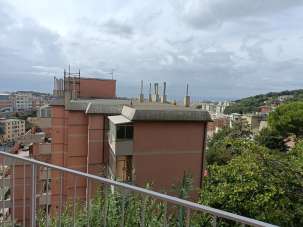 Vendita Pentavani, Genova Vendita Pentavani, Genova