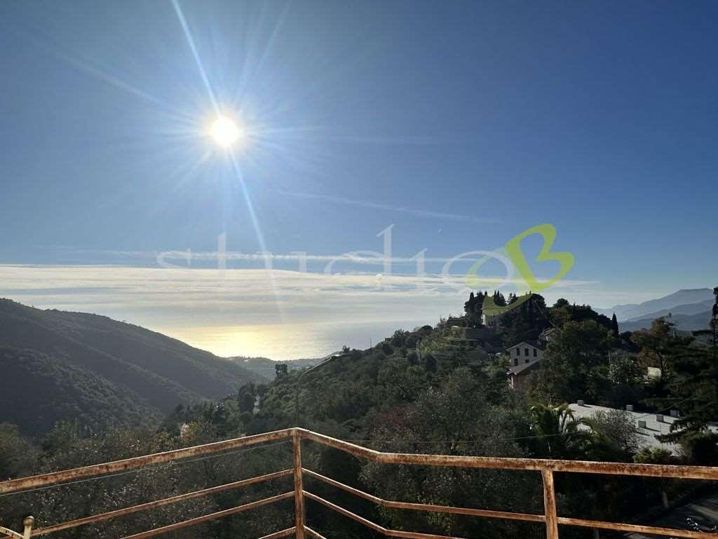 Vendita vendita, Seborga foto