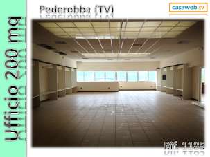 Affitto affitto, Pederobba