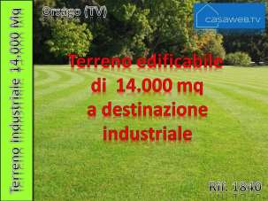Vendita vendita, Orsago Vendita vendita, Orsago