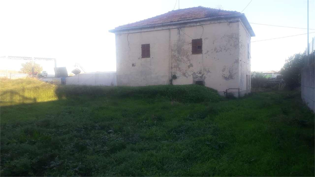 Vendita vendita, Ceriale foto