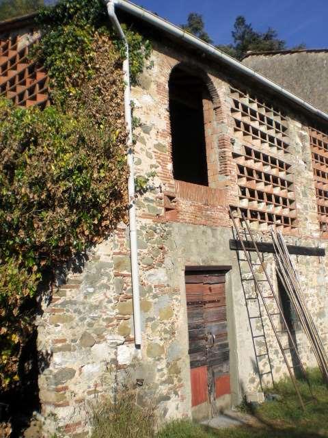 Vendita vendita, Capannori foto